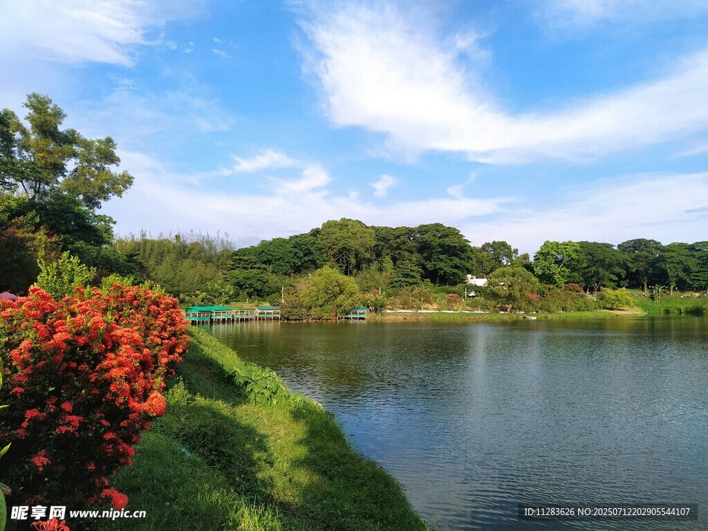 湖畔美景