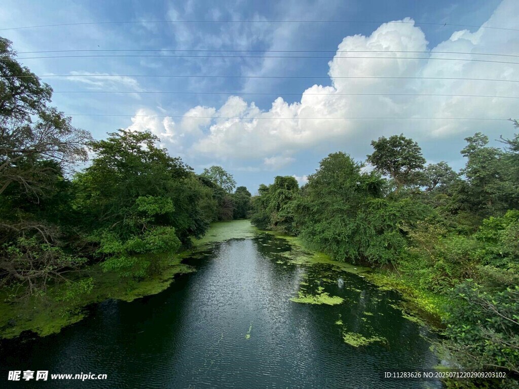 宁静河畔绿意盎然的风光