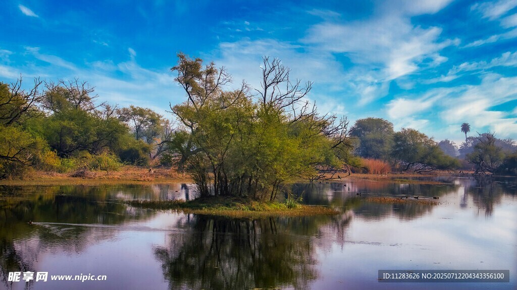 湖畔美景