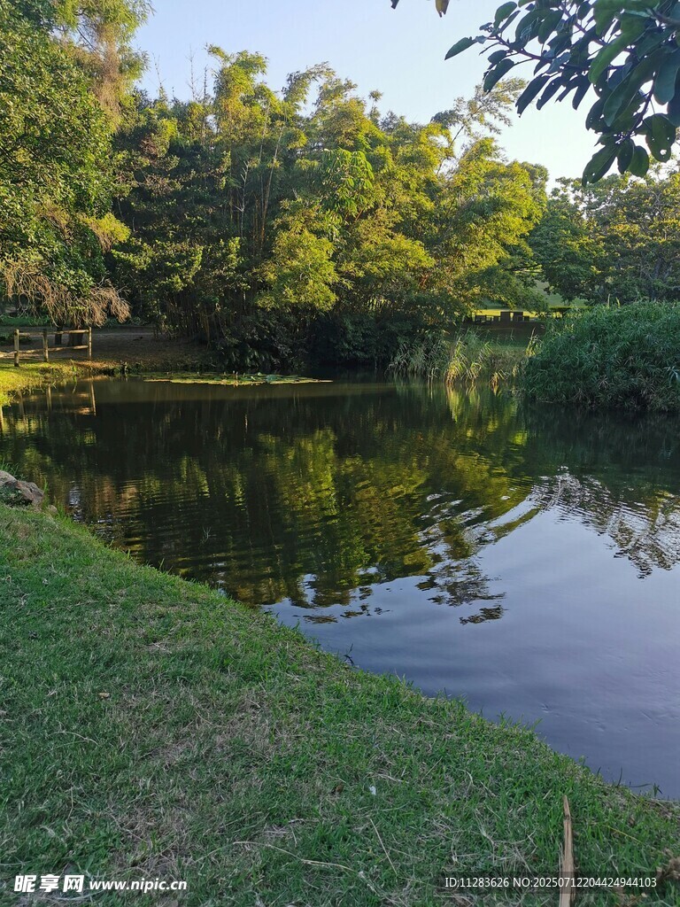 宁静湖畔自然风光