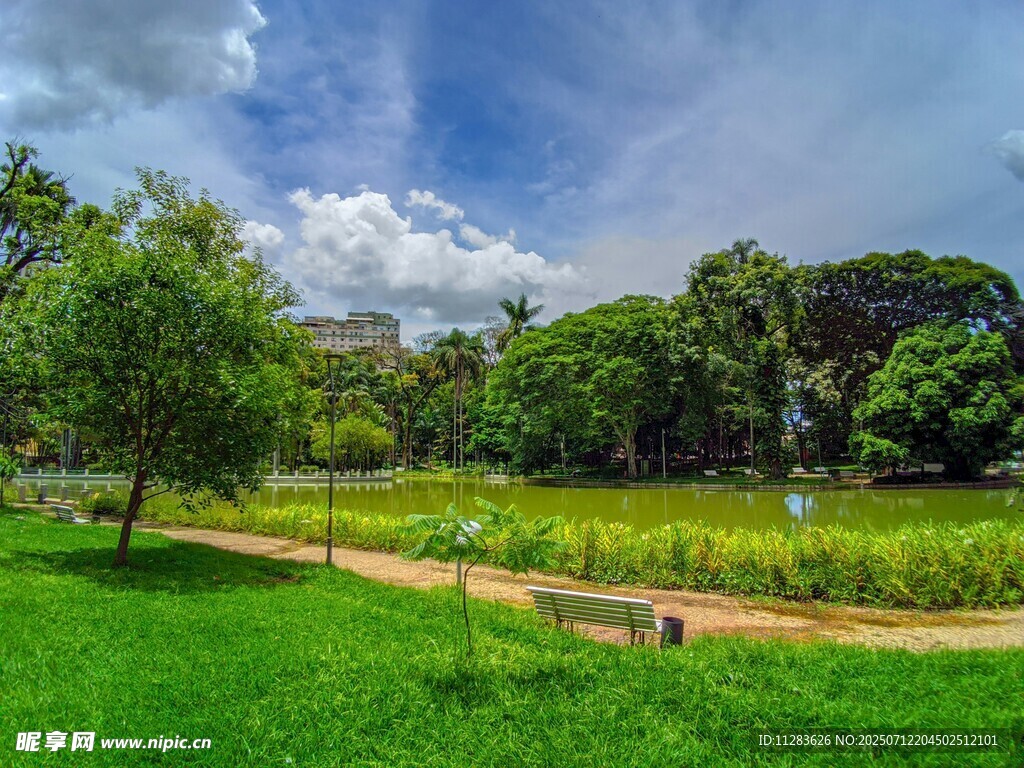 绿意盎然的户外公园美景