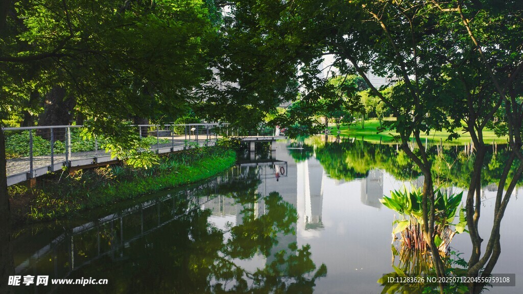 宁静河畔绿意盎然景观