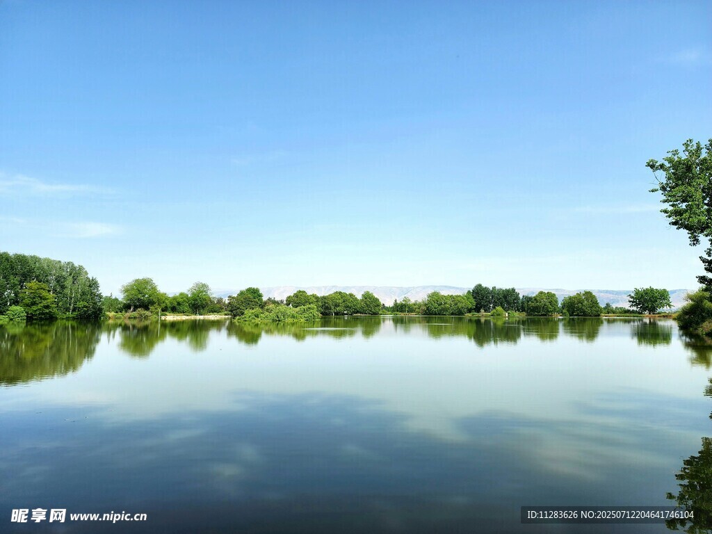 宁静湖面映绿树蓝天