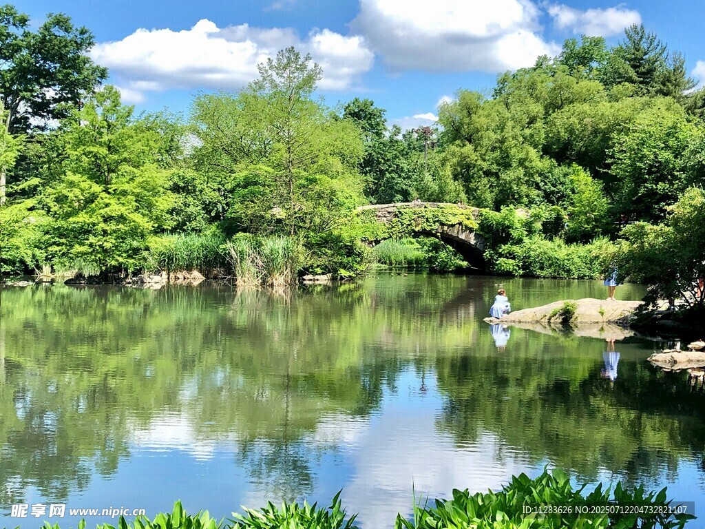 宁静湖畔绿意盎然的美景