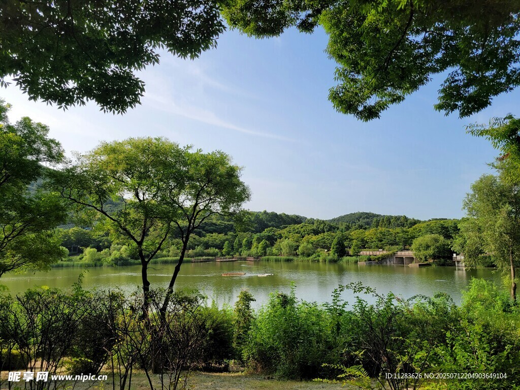湖畔绿树成荫的自然美景