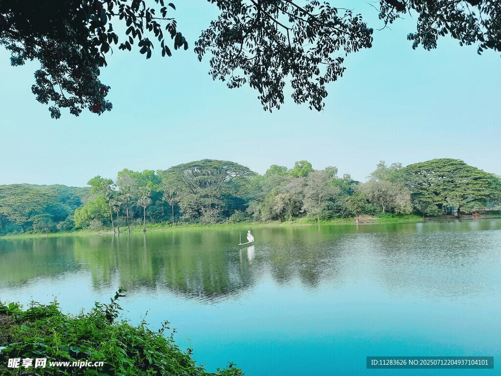 湖畔美景