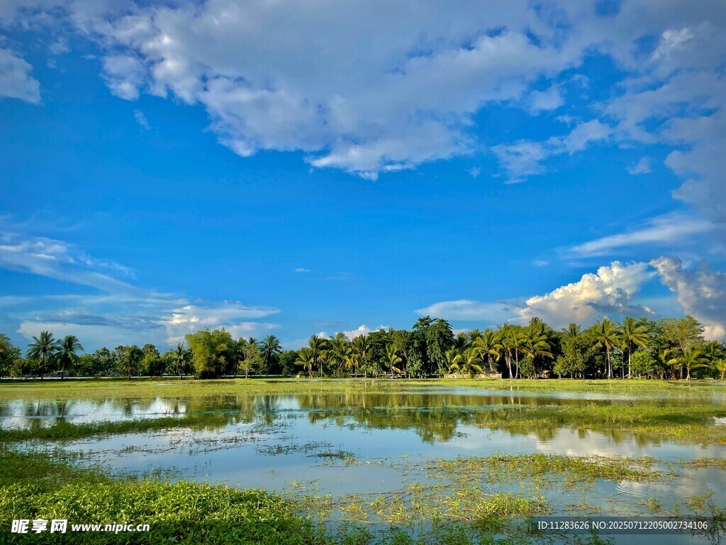 湖畔蓝天绿树美景
