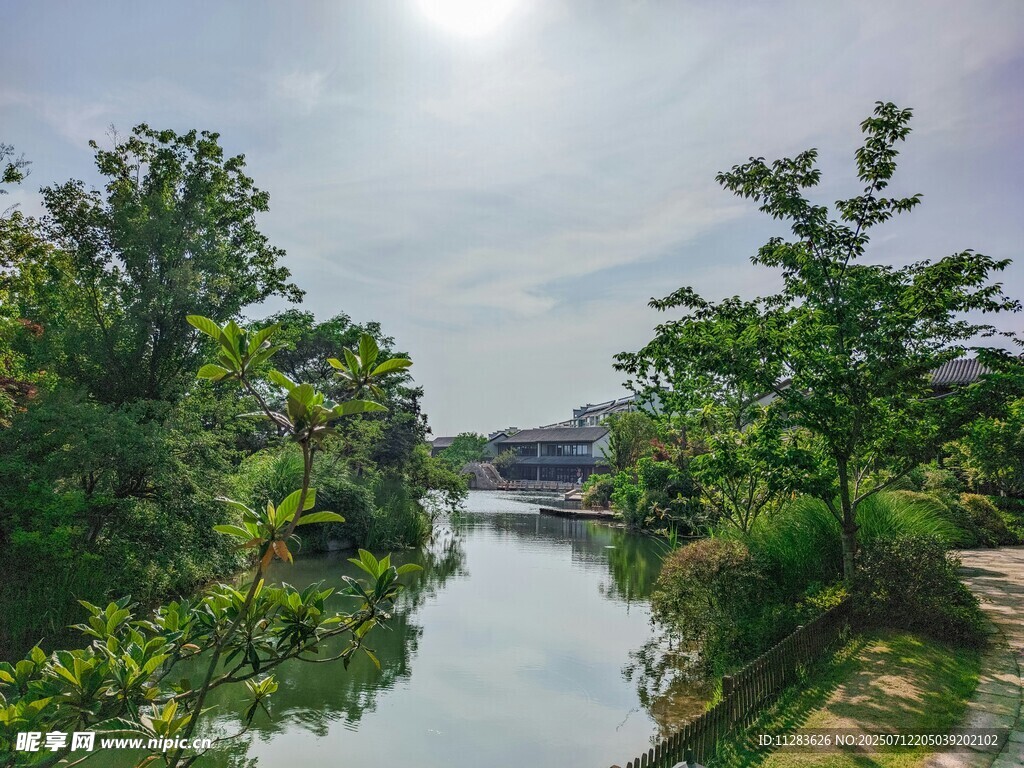 河畔绿树成荫的美丽风光