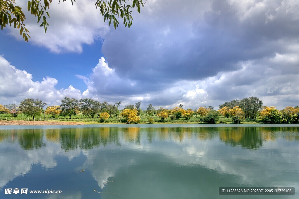 湖畔美景