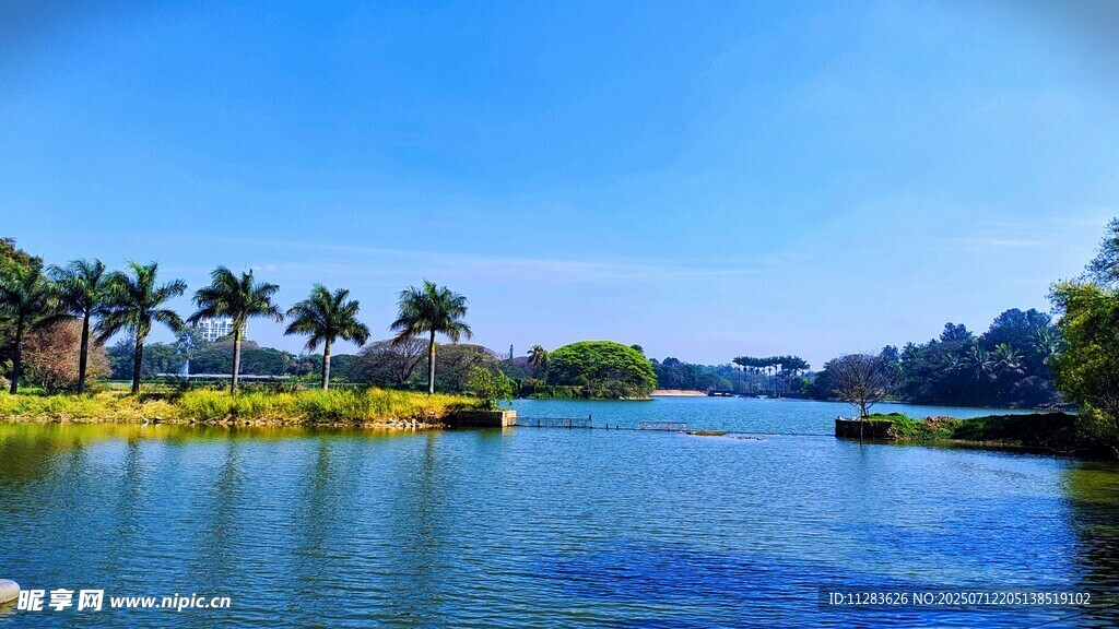 美丽河畔风光