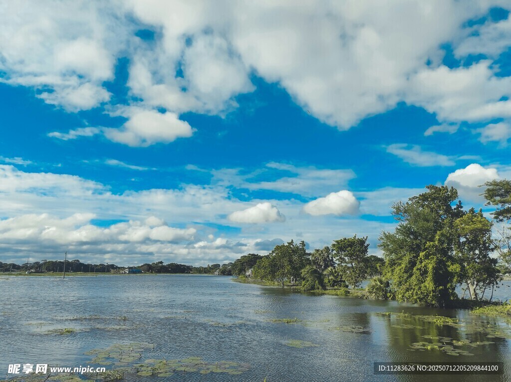 河畔蓝天绿树美景