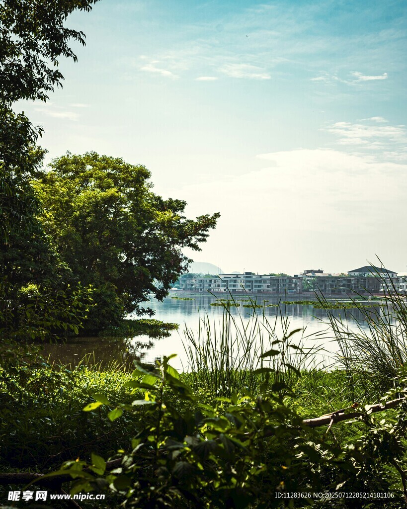湖畔绿植环绕的美丽景致