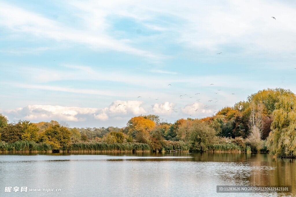 秋日湖畔美景