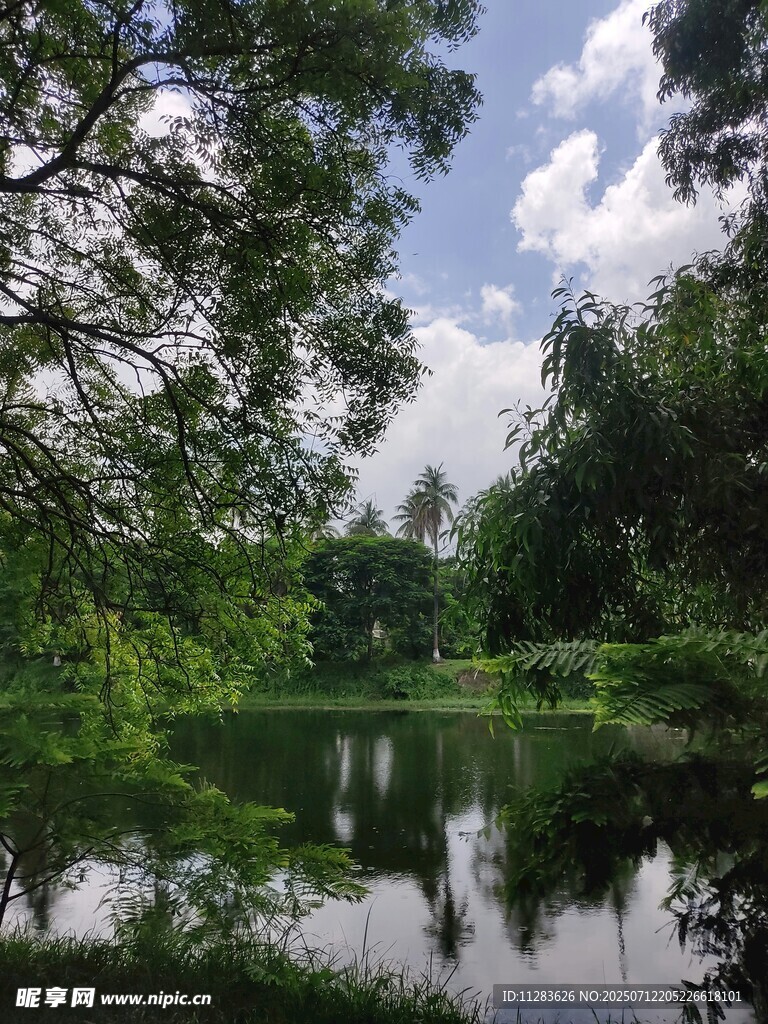 宁静湖畔绿树倒影美景