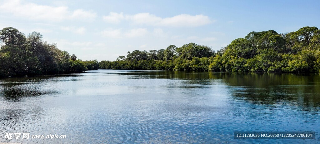宁静河畔的自然美景