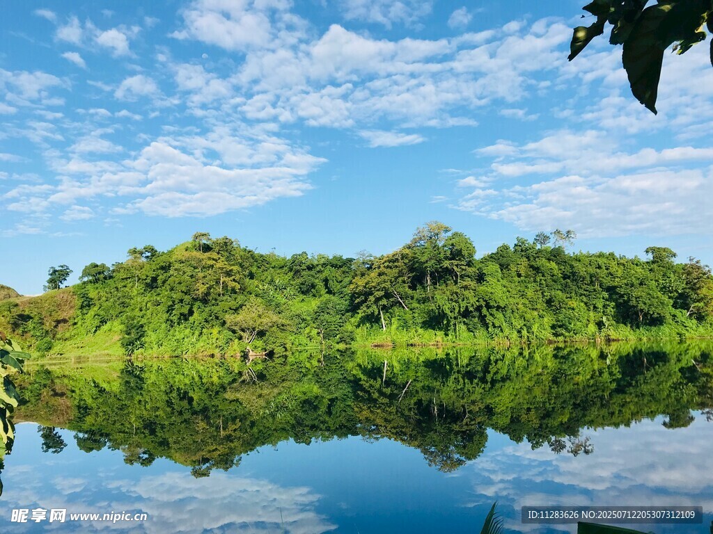 宁静湖畔绿意盎然的风光