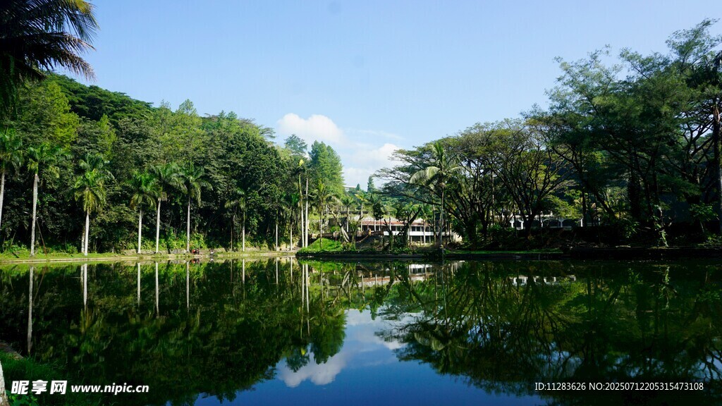 宁静湖畔绿树环绕美景