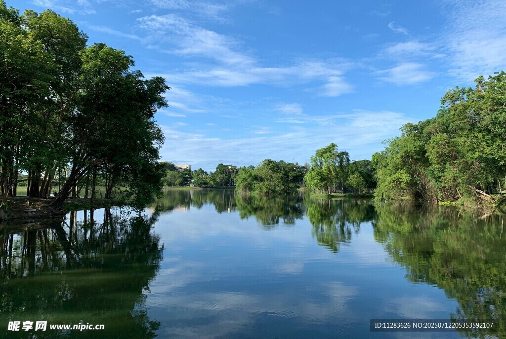 宁静河畔绿树倒映美景
