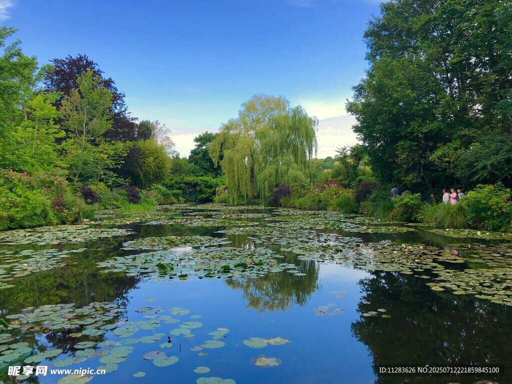 宁静湖畔的自然美景