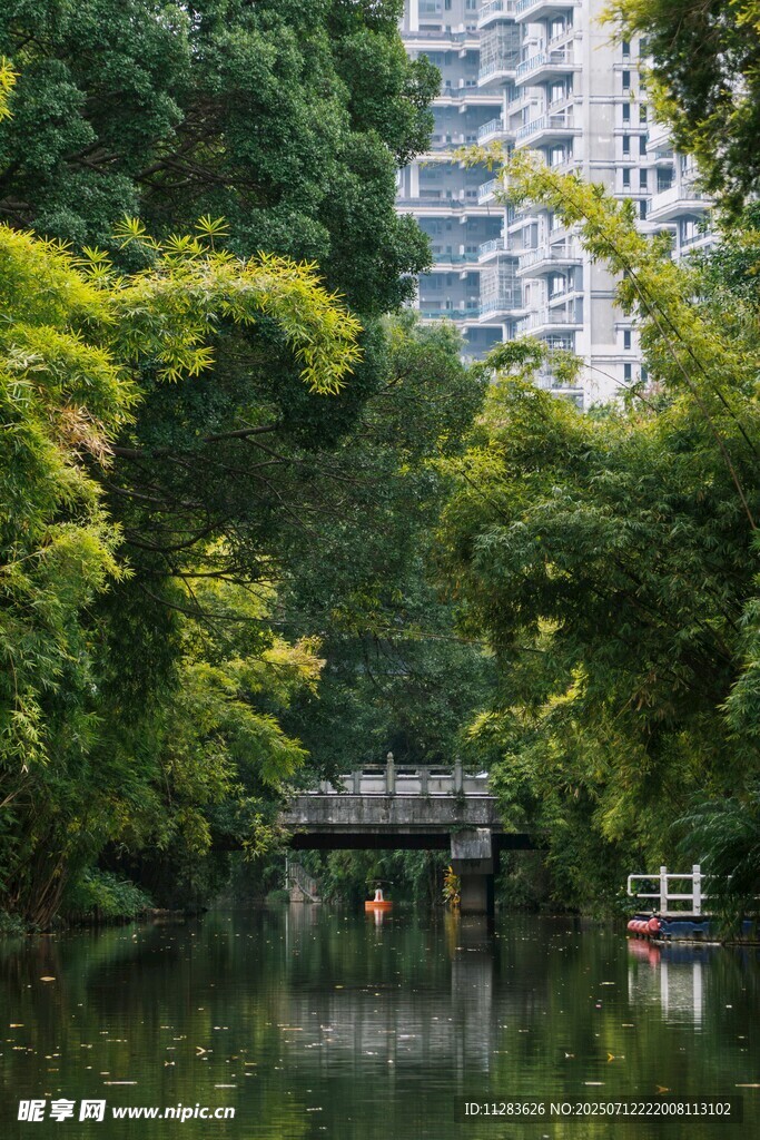 城市河畔绿荫中的静谧桥景