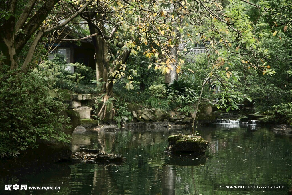 静谧林间池塘景观