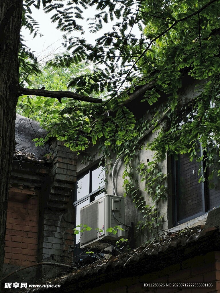 老旧房屋被绿植环绕