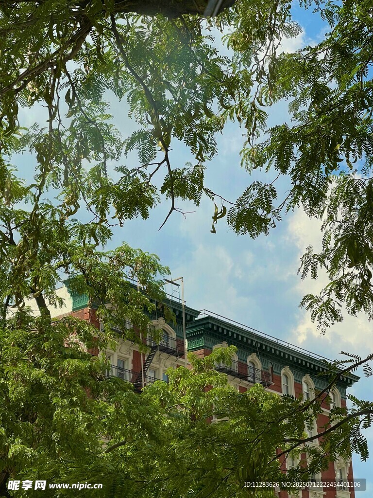绿树掩映下的建筑一角