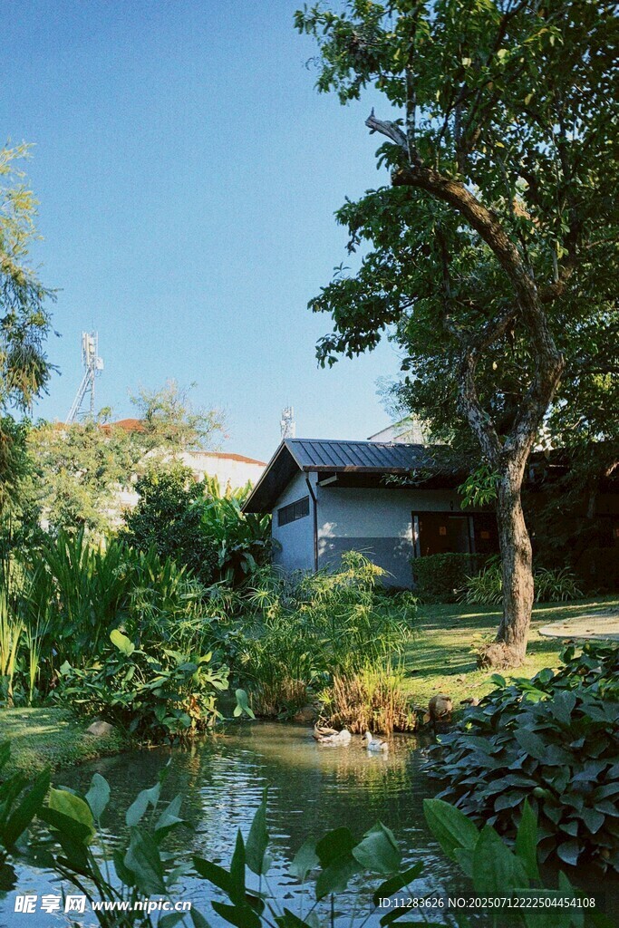 湖畔小屋