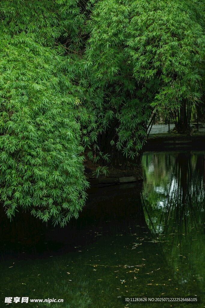 静谧河畔绿树倒映