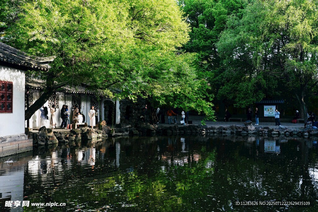 江南水乡静谧水景