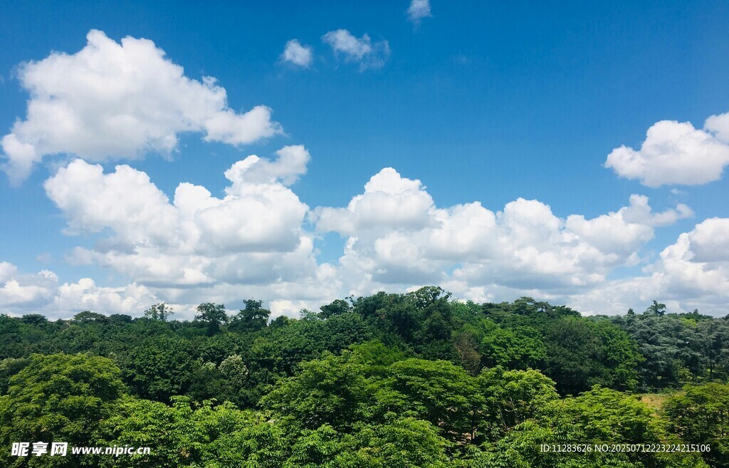 蓝天绿野间的自然美景