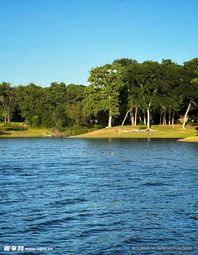 宁静河畔绿树成荫美景