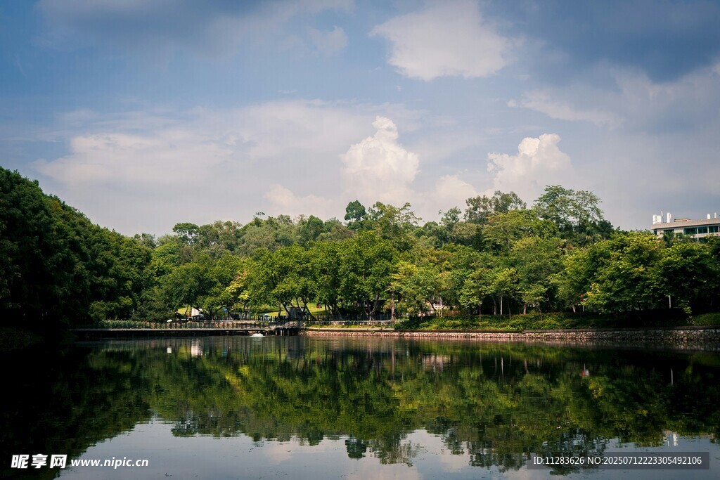 宁静湖畔绿树倒影美景