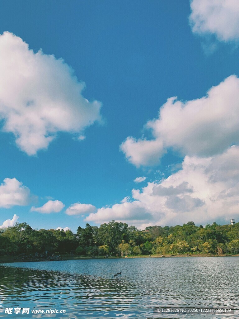 湖畔蓝天绿树美景