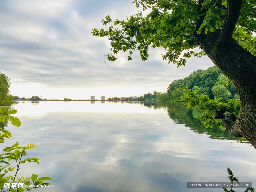 湖畔绿树映碧水美景