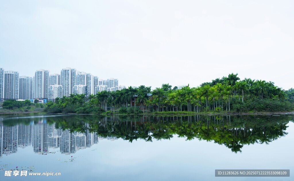 城市湖畔美景