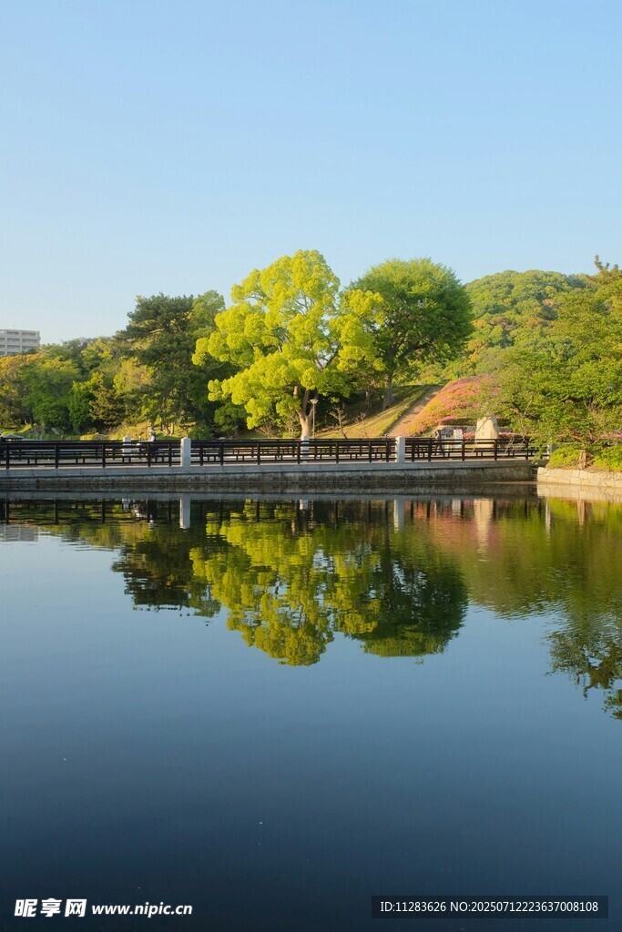 湖畔美景
