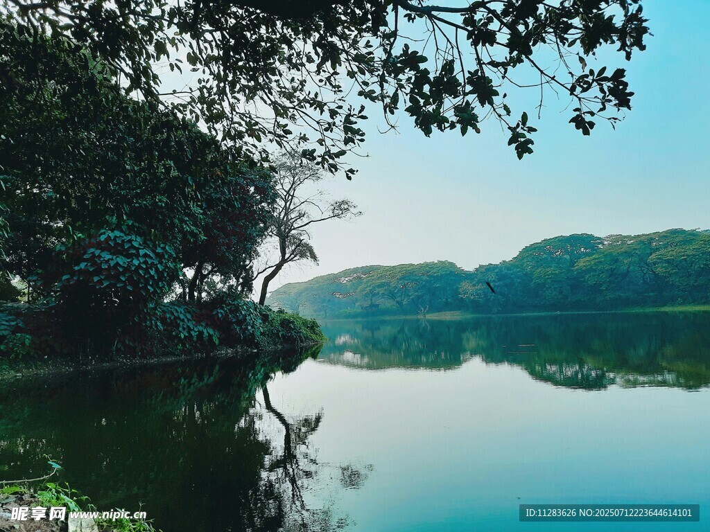 宁静湖畔绿树倒影美景