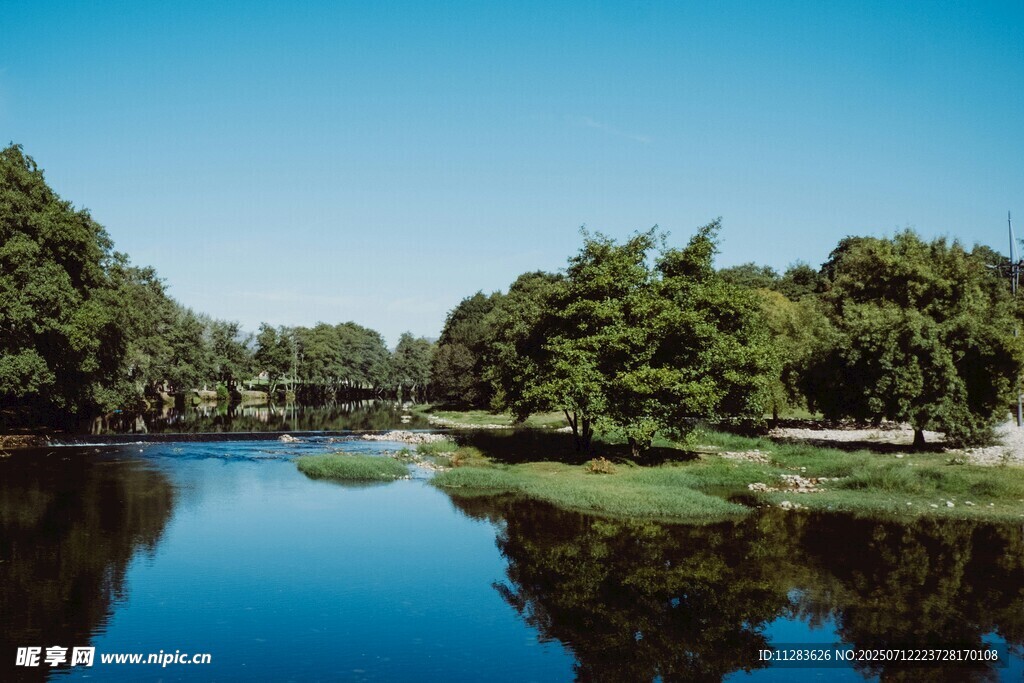 宁静河畔绿树成荫美景