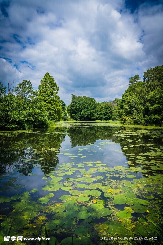 宁静湖畔绿意盎然的美景