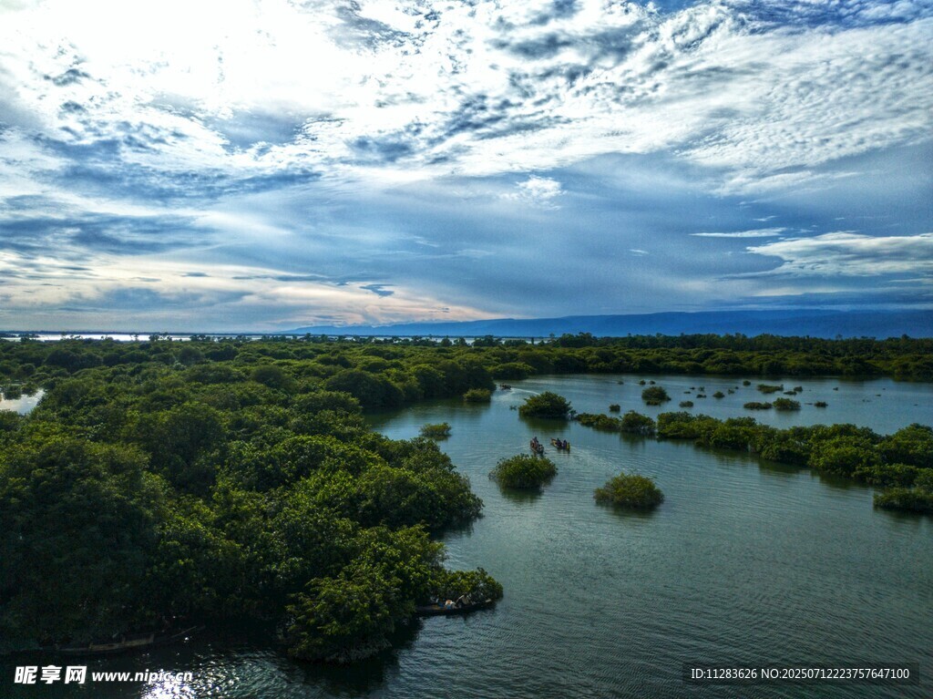 湿地风光