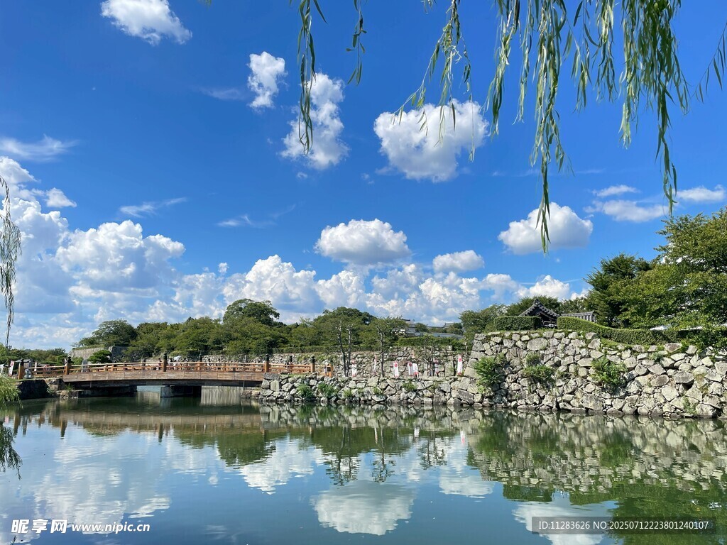 湖畔垂柳映蓝天美景