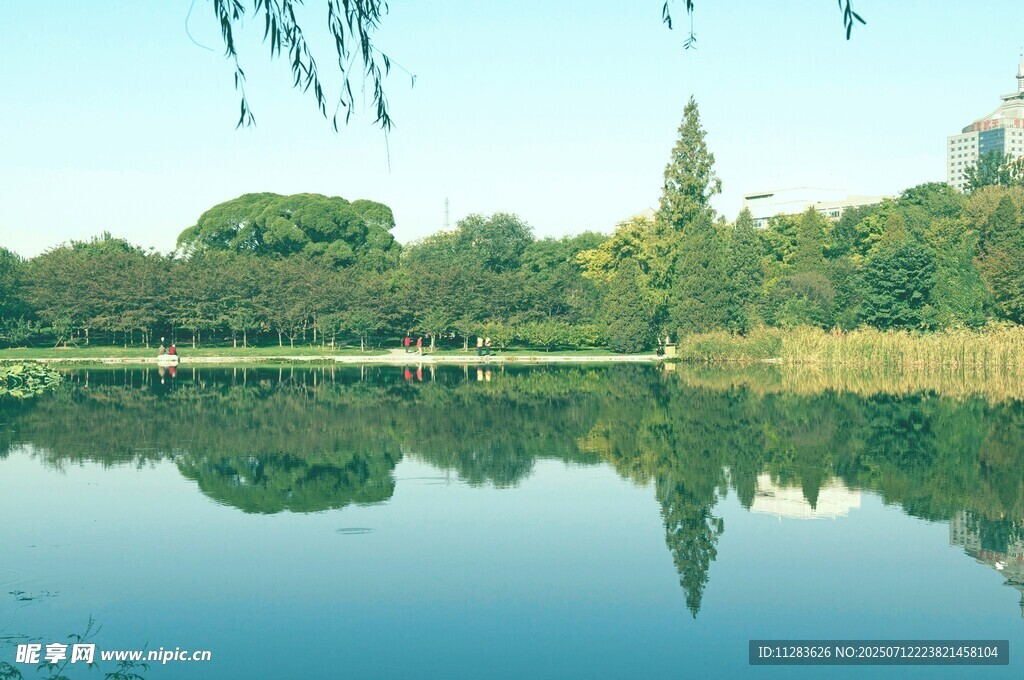 宁静湖畔绿树倒影美景