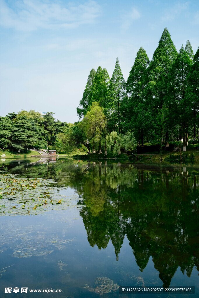 湖畔绿树倒影
