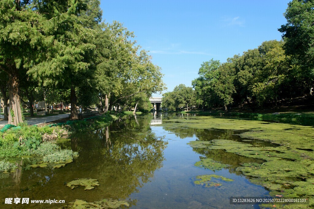 河畔绿意盎然的静谧水景
