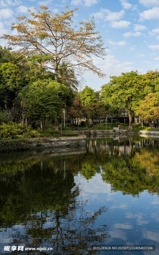 湖畔绿树成荫的宁静景致