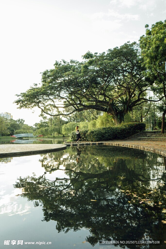 湖畔绿树倒映的静谧美景