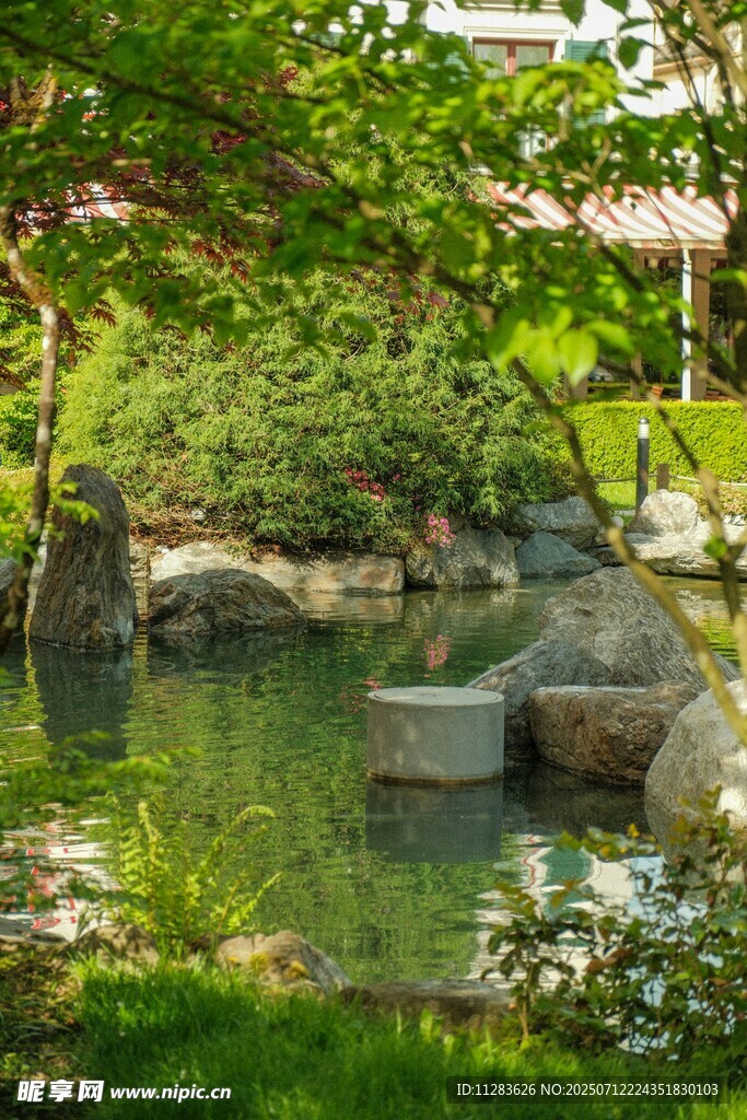日式庭院中的静谧水景