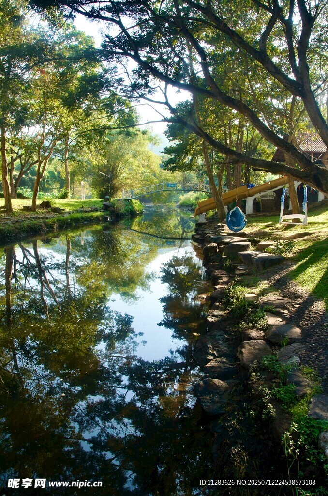 宁静河畔的自然美景