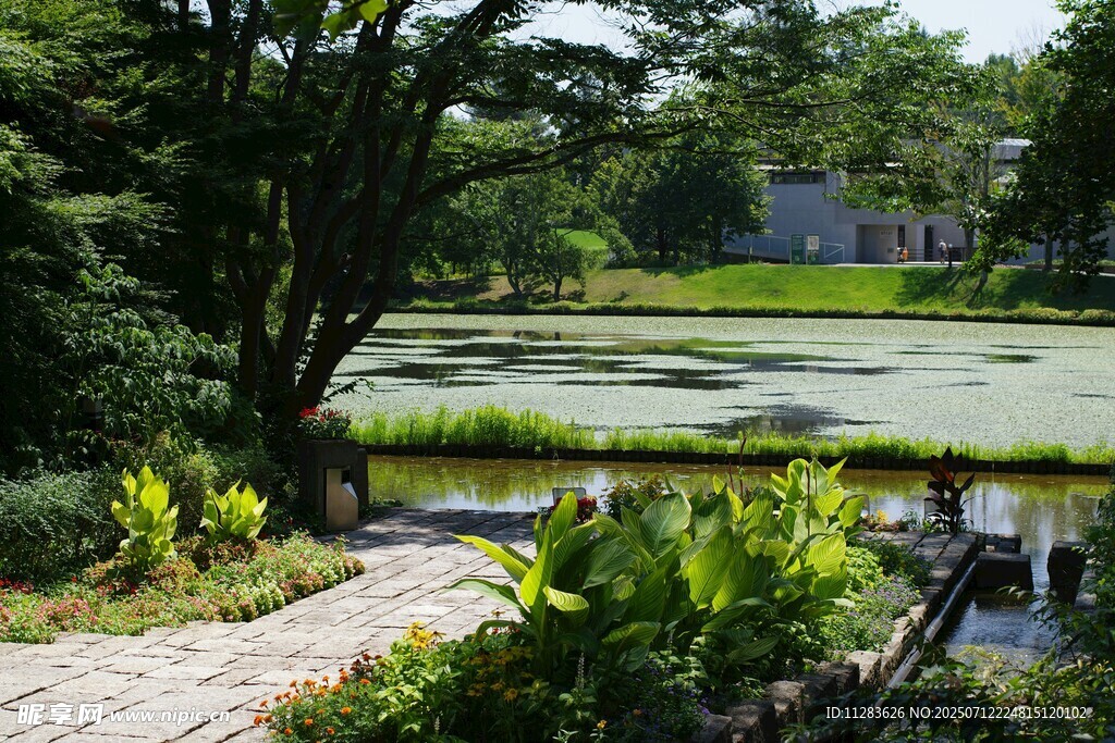 宁静湖畔绿植环绕景致
